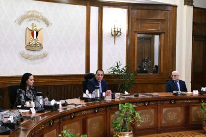 New digital platform to offer 40 initial services for Egyptian social insurance