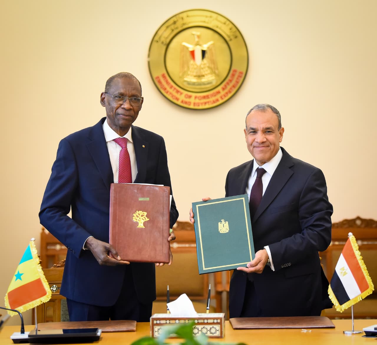 Egypt, Senegal discuss closer ties ahead of African Union summit
