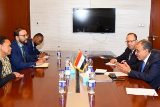 African Peer Review Mechanism head seeks Egyptian expertise for continental governance goals