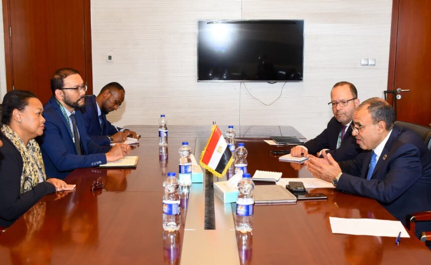 African Peer Review Mechanism head seeks Egyptian expertise for continental governance goals