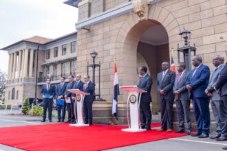 Egypt proposes Kenyan dam funding and urges consensus on Nile water rights