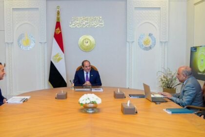 Al-Sisi reviews summer electricity plan, orders accelerated solar expansion