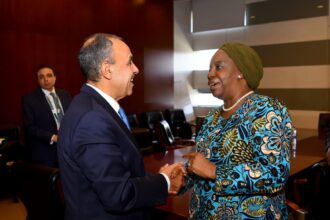 Egypt offers industrial and green energy expertise to drive COMESA integration