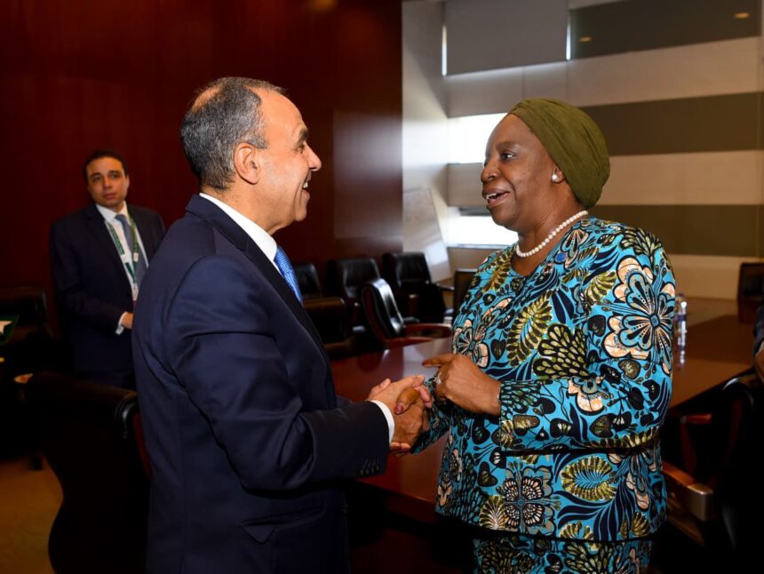 Egypt offers industrial and green energy expertise to drive COMESA integration