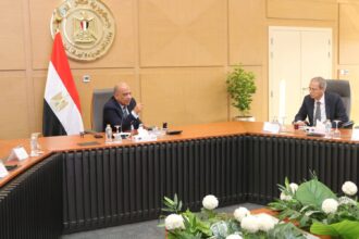 Electricity Minister reviews summer readiness, fuel efficiency with generation companies