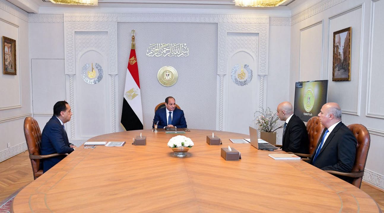 Al-Sisi pushes AI integration, expansion of technical schools