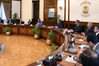 Egypt PM orders utility cuts for illegal building on agricultural land