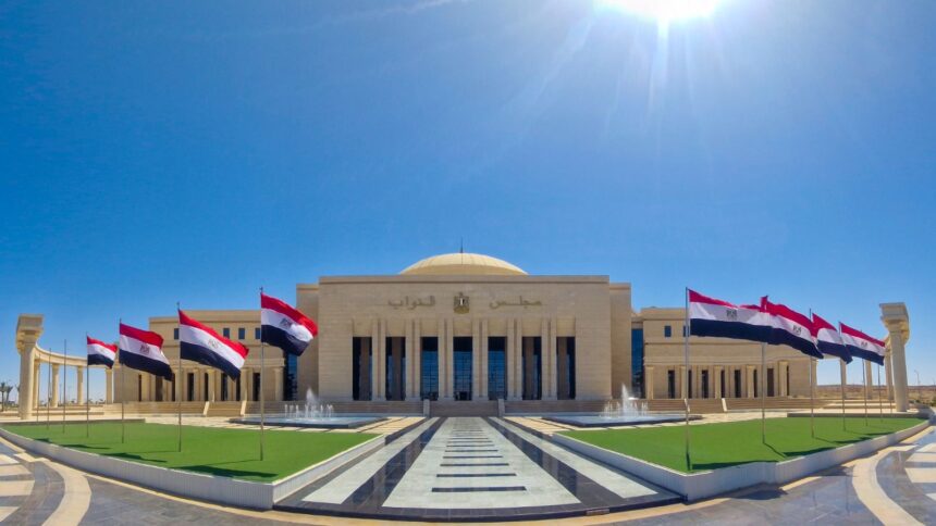 Egypt's parliament approves cabinet reshuffle including new investment and economy leads