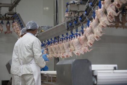 Egypt's Supply Ministry cuts frozen poultry prices ahead of Ramadan