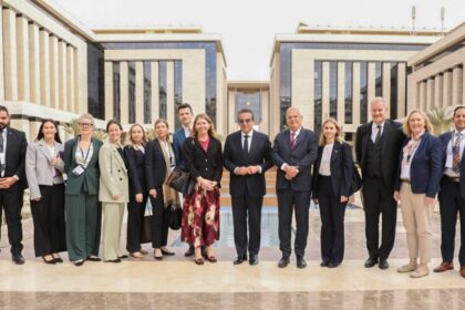 Egypt, Sweden discuss expanding healthcare cooperation, digital transformation