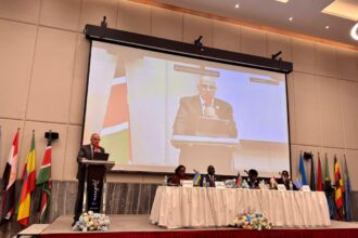Egypt warns against unilateral measures at Nile Basin ministers’ meeting in Juba