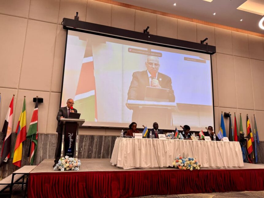 Egypt warns against unilateral measures at Nile Basin ministers’ meeting in Juba