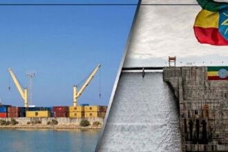 Egypt Rejects Allegations of Red Sea Access Trade-Off with Ethiopia for GERD Flexibility