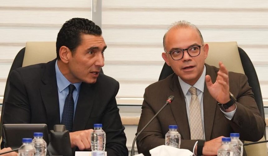 Ministers of Investment, Sports plan investment fund to boost Egyptian athletes' international performance