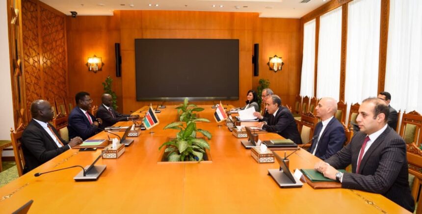 Egypt’s FM condemns RSF attack on North Darfur, seeks regional cooperation with Juba