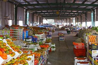 Obour Market slashes post-harvest losses to 3-5%, saving EGP 1.2bn annually