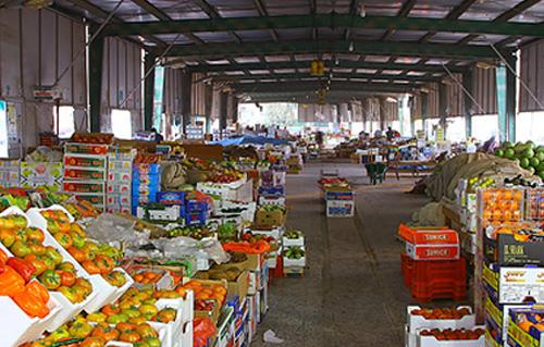 Obour Market slashes post-harvest losses to 3-5%, saving EGP 1.2bn annually