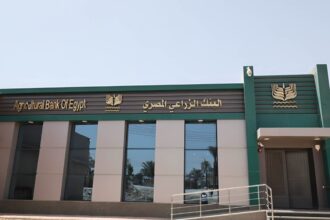 Agricultural Bank of Egypt launches 3-year savings certificate with returns of up to 16.5%