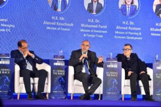 Farid says Egypt prioritises SME support, digital reform to boost investment