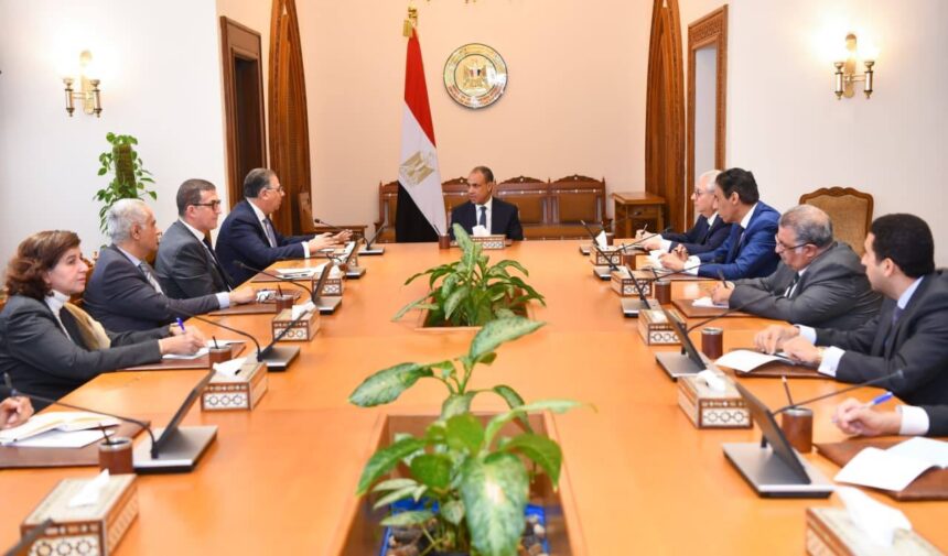 Egypt’s FM orders daily monitoring of citizens abroad amid regional tensions