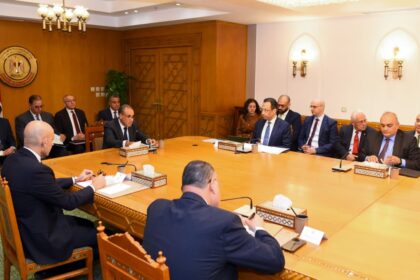 Abdelatty chairs inter-ministerial meeting to resolve Egyptian expat concerns