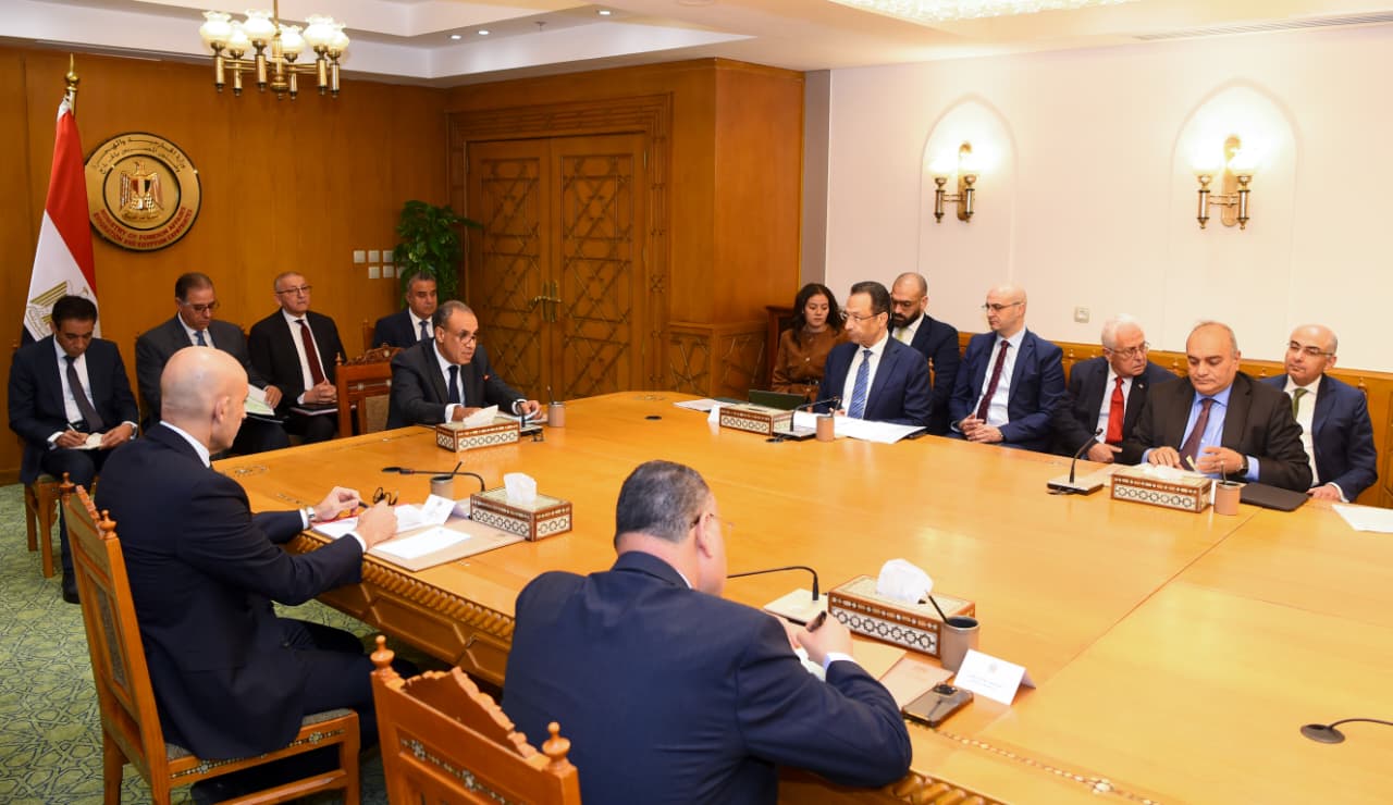 Abdelatty chairs inter-ministerial meeting to resolve Egyptian expat concerns