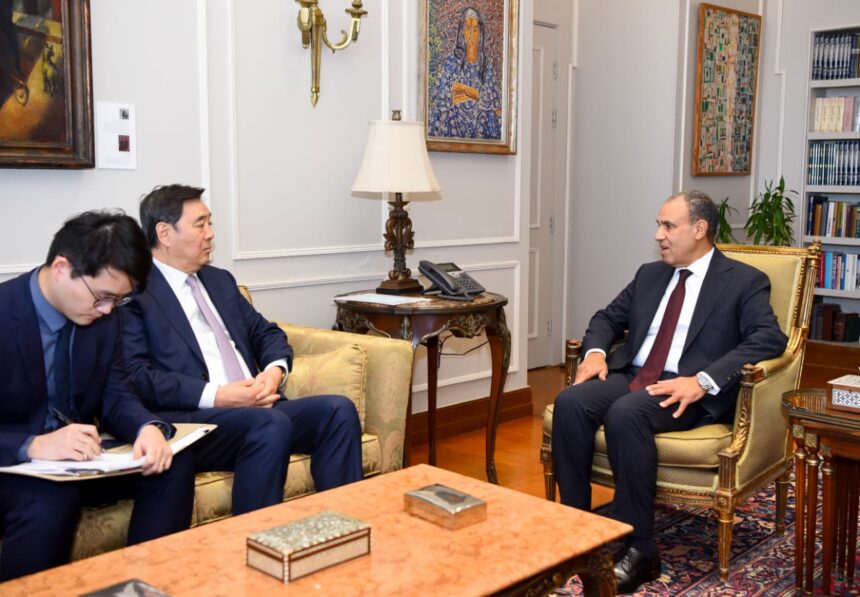 Egypt FM, Chinese envoy coordinate on regional stability as Cairo warns of 'total chaos'