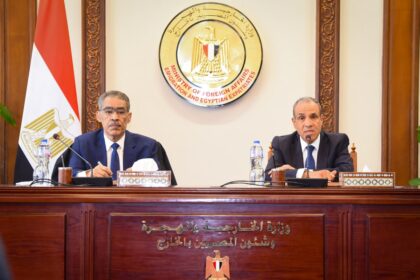 Egypt mediates between US and Iran to avert "total chaos" in Middle East: FM