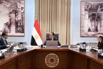 PM Madbouly reviews strategic medicine stocks, raw material supply