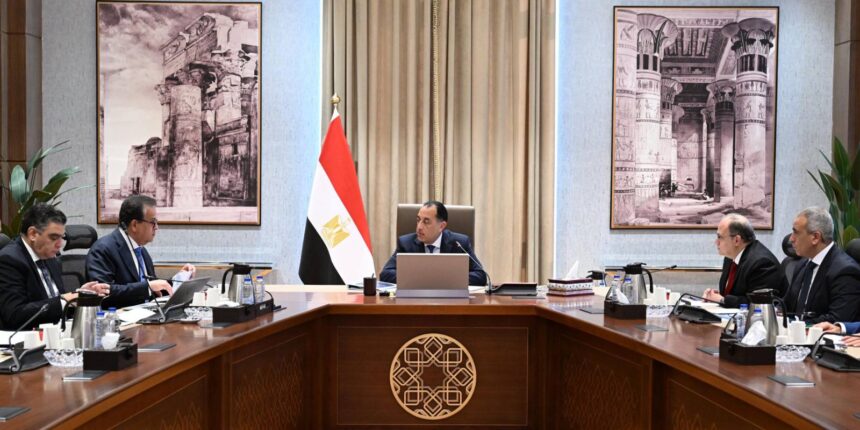 PM Madbouly reviews strategic medicine stocks, raw material supply