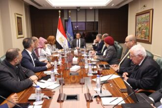 Egypt explores expanding SAP investments, digital skills programmes
