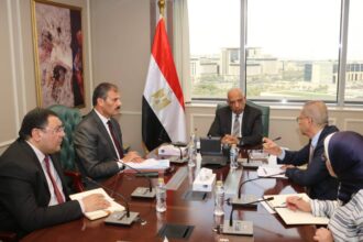 Egypt reviews power grid stability plan, steps up electricity consumption rationalisation