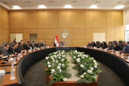 Egypt reviews measures to secure electricity supply, optimise fuel use