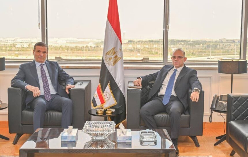 Investment, agriculture ministers discuss boosting Egypt’s investment presence in Africa