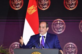 Egypt's Sisi says Suez Canal revenue fell $10bn due to regional instability