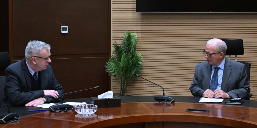 Egypt seeks deeper economic partnerships with Germany, India