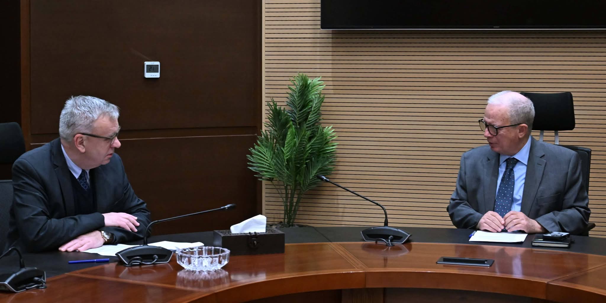 Egypt seeks deeper economic partnerships with Germany, India