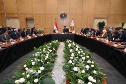 Egypt explores industrial cooperation with China’s Baowu Steel Group