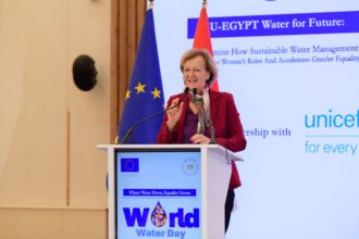 Angelina Eichhorst, Ambassador of the European Union to Egypt