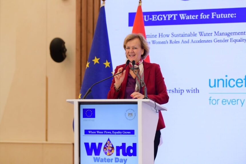 Angelina Eichhorst, Ambassador of the European Union to Egypt