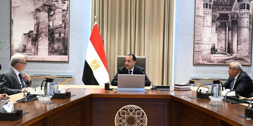 Cairo targets end-April deadline for state firm listings in expanded IPO drive