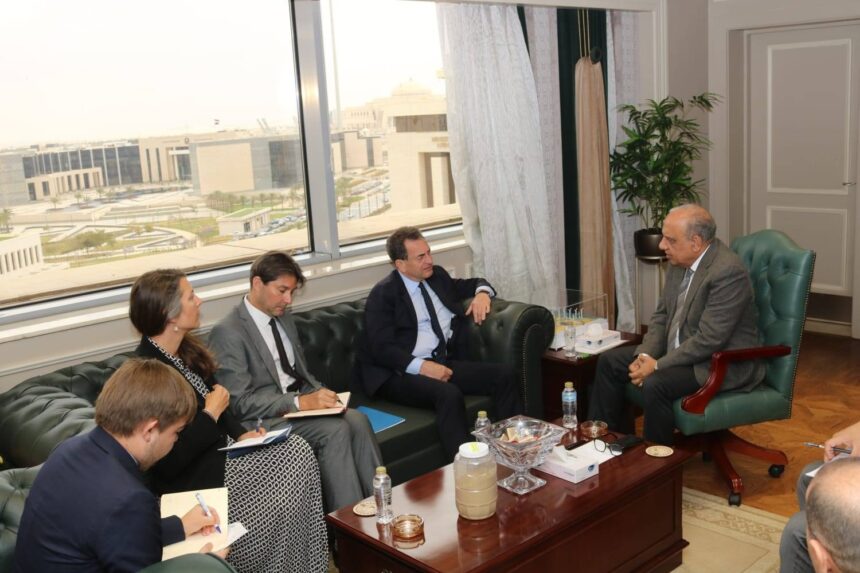 French companies plan new renewable energy projects in Egypt, ambassador says