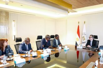 Egypt, AfDB explore new financing mechanism to boost infrastructure investment