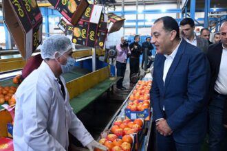 Madbouly tours Benha Investment Zone to drive industrial growth, boost exports