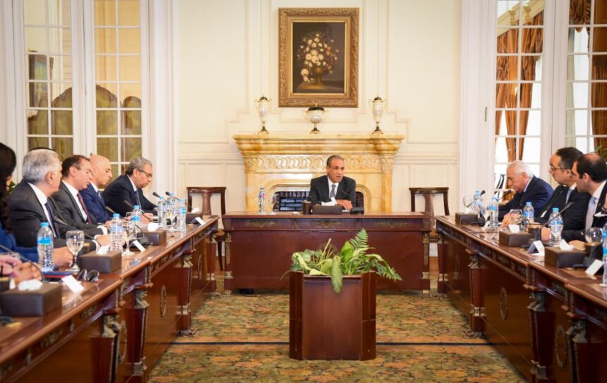 Egypt FM says attracting foreign direct investment is top government priority