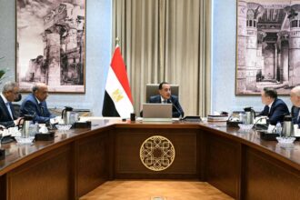 Madbouly, Rosatom chief review progress on El Dabaa nuclear project