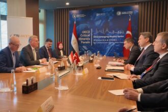 Egypt, Türkiye deepen mining, energy cooperation to attract investment, advance regional integration