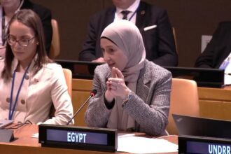 Egypt showcases ‘Masdar’ platform at UN forum to enhance development financing decisions