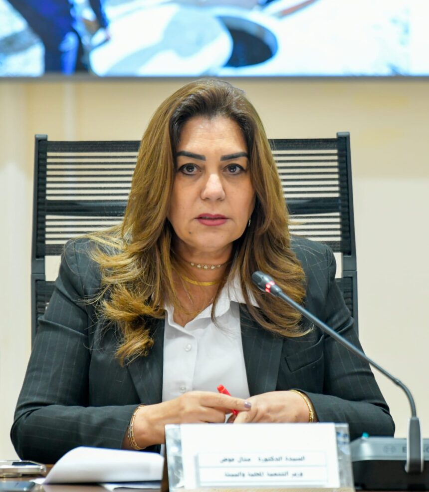 Manal Awad, Minister of Local Development and Environment