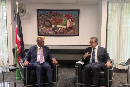 Egypt, Kenya deepen health, pharmaceutical cooperation to strengthen African health security